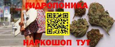 амф Будённовск
