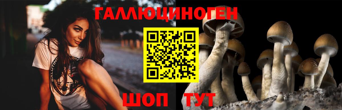 Псилоцибиновые грибы MAGIC MUSHROOMS Узловая
